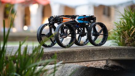 Nach dem Vorbild von Tieren haben Forscher einen Roboter gebaut, der fast alles kann.