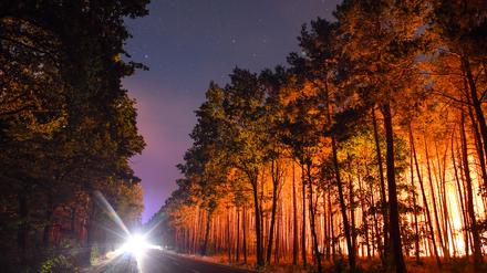Hell erleuchtet ist ein brennender Wald nahe Klausdorf.