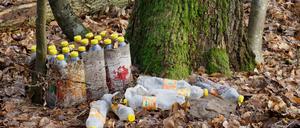 Leere Plastikflaschen liegen im brandenburgischen Landkreis Ostprignitz-Ruppin neben einem Baum.