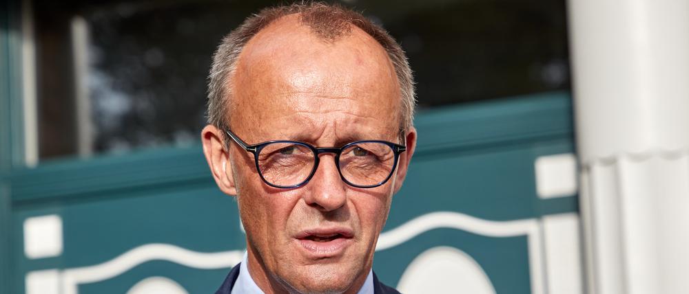 Friedrich Merz (CDU) attackiert die Grünen immer wieder.