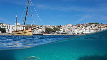 Neptungras spielt im Ökosystem des Mittelmeers, hier ein Foto aus Spanien, eine wichtige Rolle.