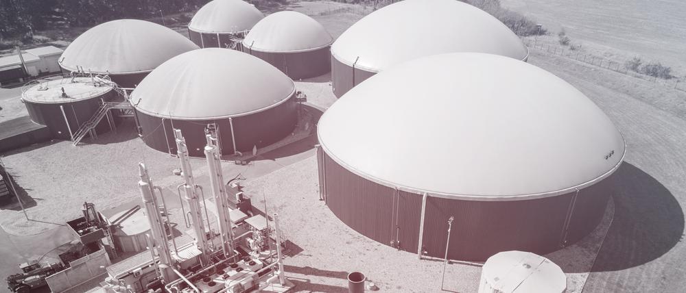 Gärtanks einer Biogasanlage stehen hinter einem Rapsfeld.