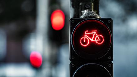 Wegen des Radwege-Planungsstopps steht Manja Schreiner in der Kritik