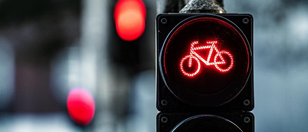 Wegen des Radwege-Planungsstopps steht Manja Schreiner in der Kritik