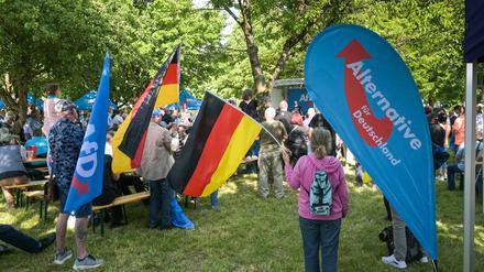 Eine AfD-Kundgebung.