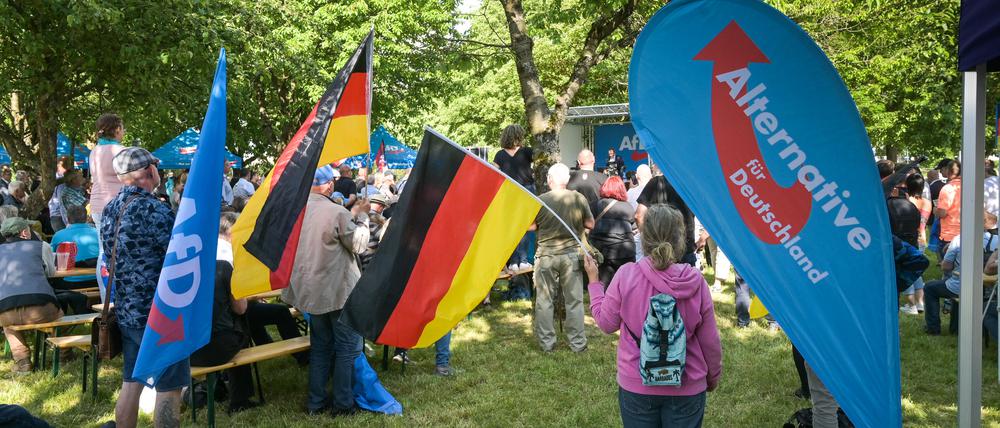 Teilnehmer einer AfD-Kundgebung am 70. Jahrestag des Volksaufstandes in der DDR.