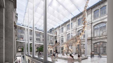 Visualisierung des Umbaus vom Sauriersaal im Berliner Museum für Naturkunde