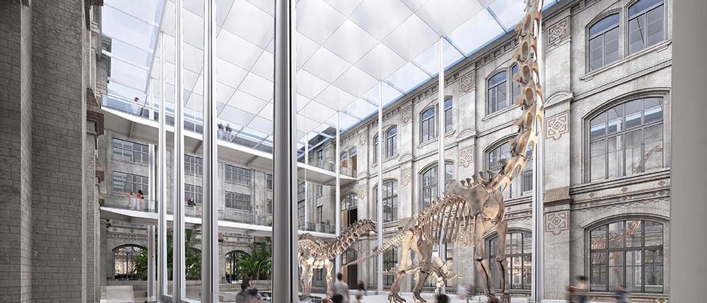 Visualisierung des Umbaus vom Sauriersaal im Berliner Museum für Naturkunde