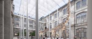 Visualisierung des Umbaus vom Sauriersaal im Berliner Museum für Naturkunde