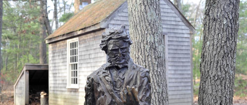 Die nachgebaute Hütte des Schriftstellers Henry David Thoreau nahe Walden Pond, davor eine Statue des Schriftstellers.