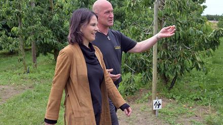 Was können die Obstbauern gegen die Folgen des Klimawandels tun? Annalena Baerbock (Grüne) informiert sich bei Obstbauer Stefan Lindicke über mögliche Maßnahmen.