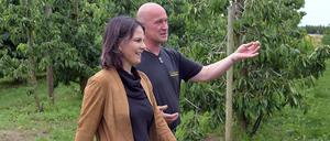 Was können die Obstbauern gegen die Folgen des Klimawandels tun? Annalena Baerbock (Grüne) informiert sich bei Obstbauer Stefan Lindicke über mögliche Maßnahmen.