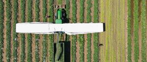 Ein sogenannter Gurkenflieger, auf dem die Erntehelfer liegen und Einlegegurken ernten.