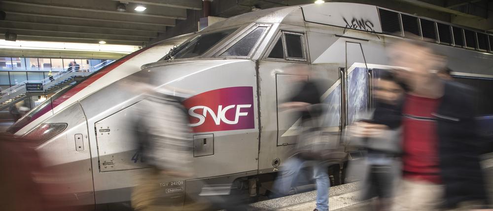 Die französische Bahn SNCF muss für das Überfahren einer Katze eine Entschädigung bezahlen (Symbolbild). 