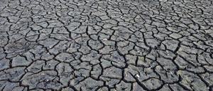 ARCHIV - 19.02.2023, Brandenburg, Peitz: Ein aufgerissener und ausgetrockneter Boden eines Teiches. (zu dpa: «Brandenburg will sich besser auf Klimawandel vorbereiten») Foto: Patrick Pleul/dpa +++ dpa-Bildfunk +++