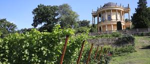 Am Königlichen Weinberg auf dem Klausberg in Potsdam wird wieder das Weinfest gefeiert.