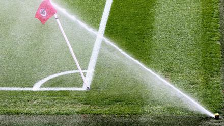 Mandatory Credit: Photo by James Marsh/Shutterstock 13882141d The Wasser marsch!