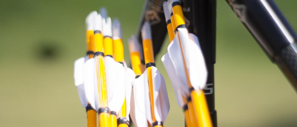 Archery Arrows with Bow Detail.