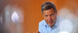 Wirtschaftsminister Habeck
