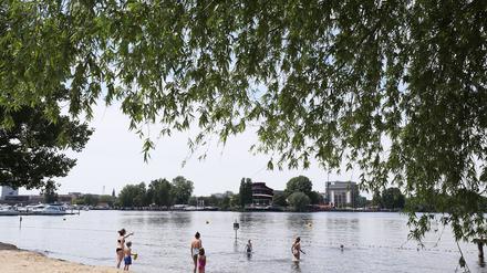 Besser vorerst draußen bleiben: Im Bereich des Stadtbads Babelsberg herrscht derzeit ein starkes Algenwachstum in der Havel. 