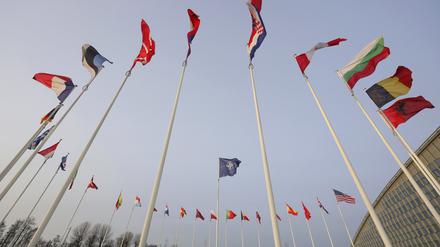 Die Flaggen der NATO-Mitglieder.