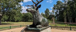 Wapiti-Hirsche im Tiergarten.