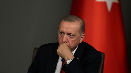 Der türkische Präsident Erdogan am 8. Juli bei einer Pressekonferenz in Istanbul.