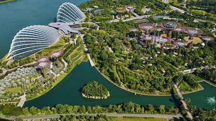 Von der grünen Stadt zur Stadt im Grünen. Im Herzen Singapurs entsteht ein botanischer Garten, der nach Abschluss der 2. Bauphase 101 Hektar ist.