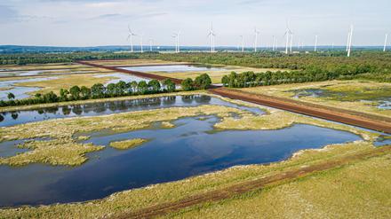 Wieder vernässte Moore können Klimaschutz- und weitere Serviceleistungen erbringen und könnten dabei auch landwirtschaftlich genutzt werden.