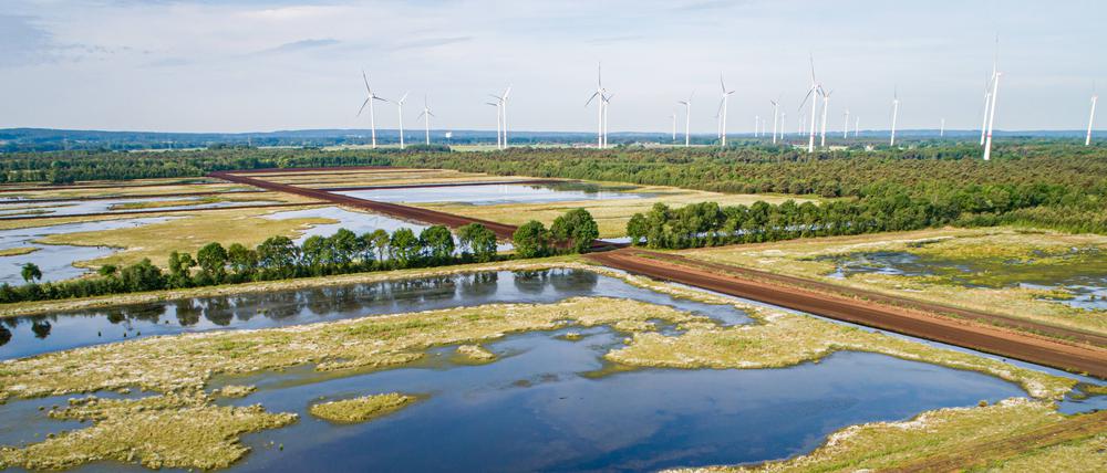 Wieder vernässte Moore können Klimaschutz- und weitere Serviceleistungen erbringen und könnten dabei auch landwirtschaftlich genutzt werden.