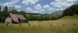 Freiwillige suchen nach dem Jugen.