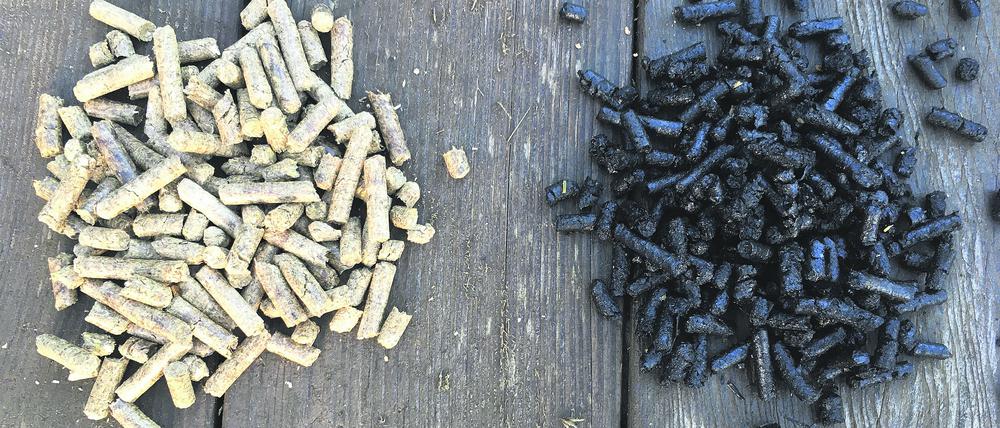 Aus Abfallprodukten gewonnene Pellets können Böden vitalisieren oder zum Asphaltieren von Straßen dienen – kohlendioxidneutral.