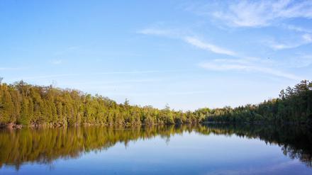 Im Sommer rieseln Sedimente auf den Grund des Crawford Lake in Ontario, Kanada, deren Schichtung sich weit in die Vergangenheit erkennen lässt.