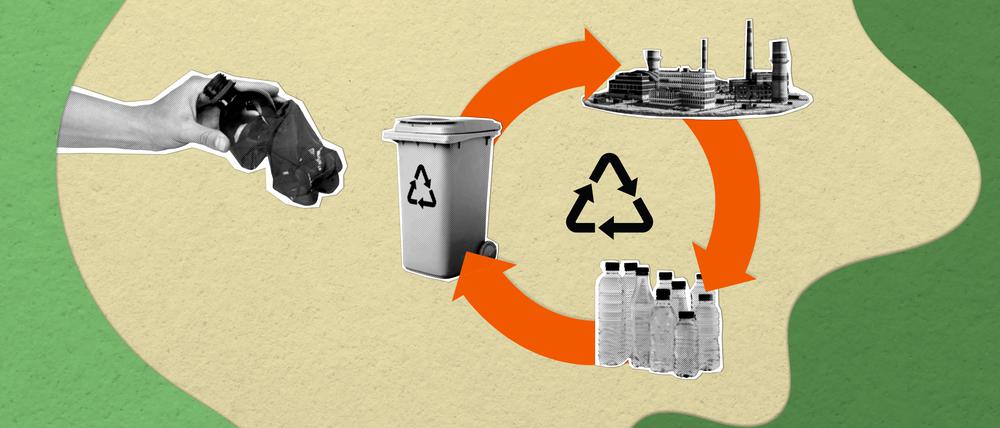 Nachhaltige Verpackungen liefern einen signifikanten Beitrag zum Klimaschutz.