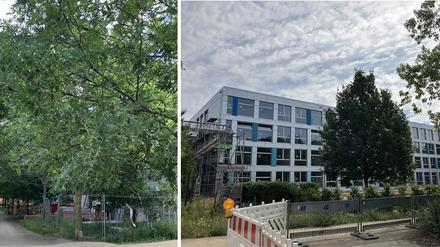 Die Eschenallee und die neue Schuldrehscheibe (rechts).