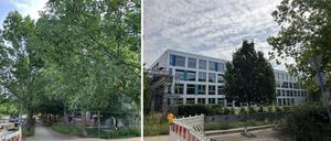 Die Eschenallee und die neue Schuldrehscheibe (rechts).