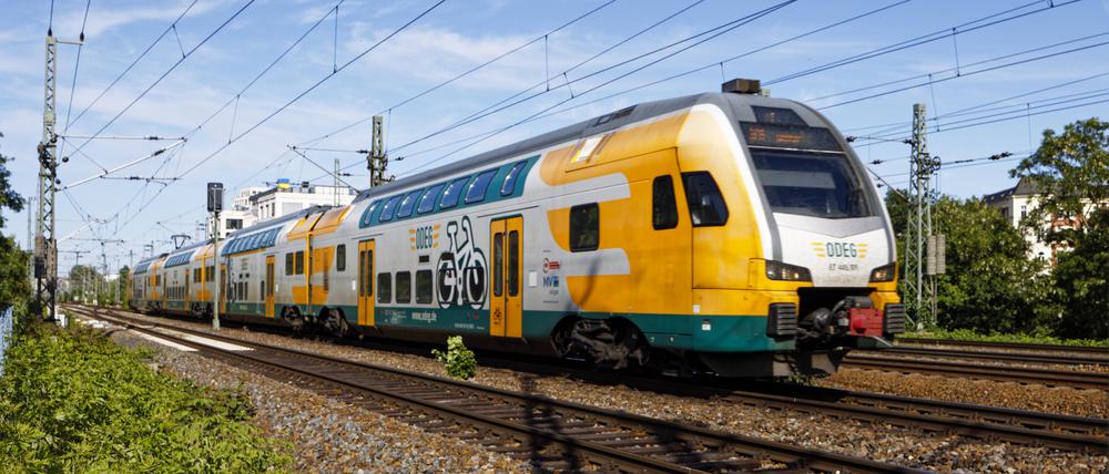 ODEG-Regionalexpress am Westkreuz 2023-06-03 - Deutschland, Berlin - Laubenkolonie der Eisenbahn-Landwirtschaft am S-Bahnhof Westkreuz, dem Kreuzungspunkt zwischen Ring- und Stadtbahn, wo sich auf stillgelegten Gleisen in Jahrzehnten eine artenreiche Grünlandschaft entwickelt hat. Im Bild ein Doppelstock-Elektrotriebzug Baureihe ET 445 der ODEG auf der Stadtbahn am Westkreuz. *** ODEG Regionalexpress at Westkreuz 2023 06 03 Germany, Berlin Foliage colony of the railroad agriculture at the S station Westkreuz, the crossing point between ring and urban railroad, where a species-rich green landscape has developed on disused tracks in decades In the picture a double-deck electric multiple unit class ET 445 of ODEG on the urban railroad at Wes