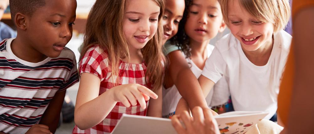 bildung,lesen,vorlesen *** education,reading,storytelling mmq-xkc,model released, Symbolfoto