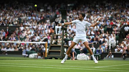 Novak Djokovic könnte dieses Jahr zum fünften Mal in Folge Wimbledon gewinnen.