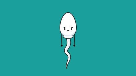 Sperma
