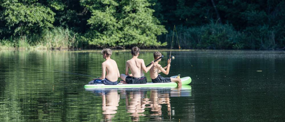 Drei Jungen sitzen mit Angelruten auf einem SUP auf einem See am Cottbuser Stadtrand.