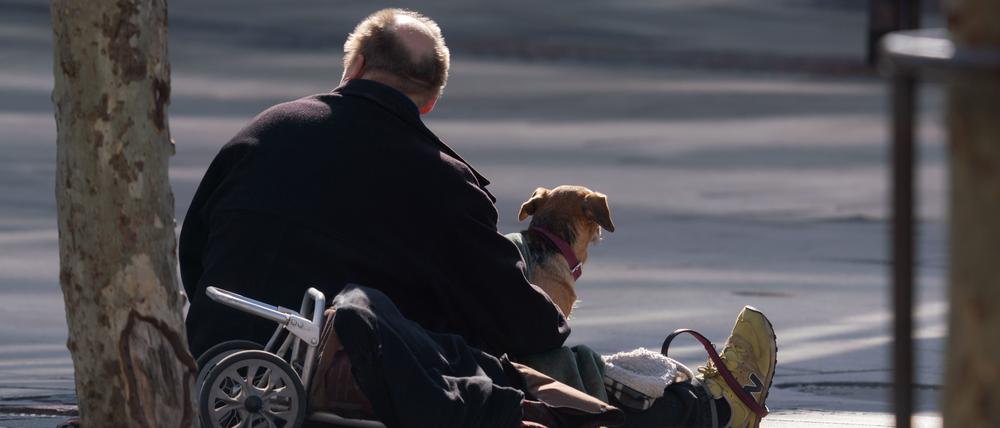 Ein Mann sitzt mit seinem Hund an der Straße und wartet auf Gaben von Passanten (Archivbild).