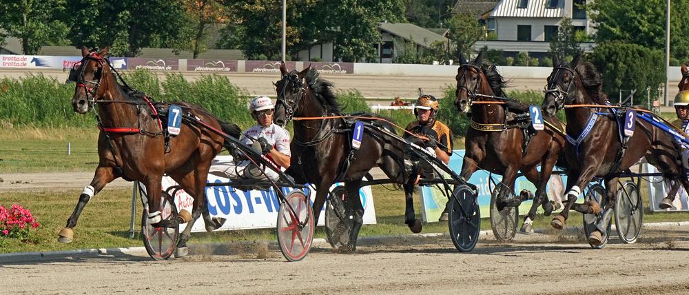 Ein überraschender Erfolg: Robin Bakker und sein Schützling Y Not Diamant beherrschten das Buddenbrock-Rennen Start bis Ziel. 