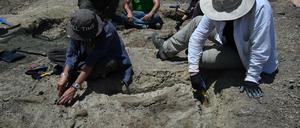 Ausgrabungen am Katharo auf Kreta.