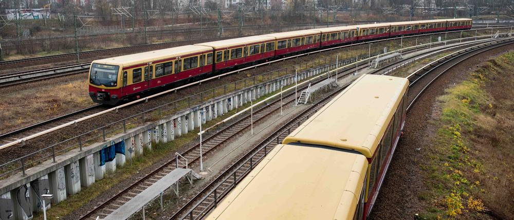 Züge auf der S-Bahn-Trasse zwischen Gesundbrunnen und Bornholmer Straße