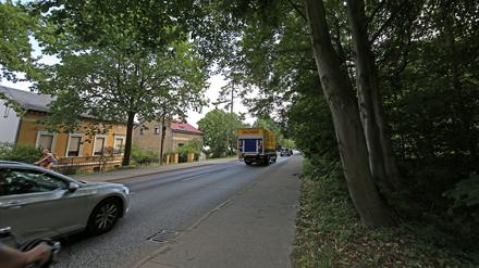 Für die Busspur muss ein Teil des Katharinenholzes  abgeholzt werden