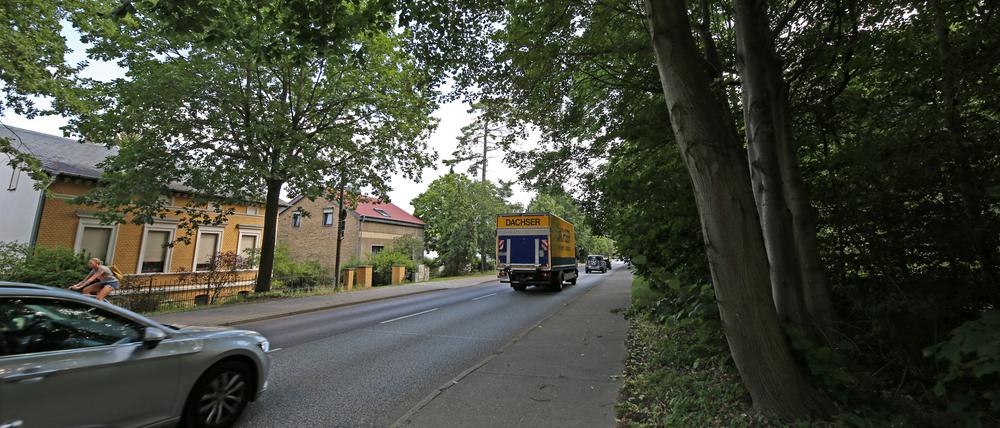 Für die Busspur muss ein Teil des Katharinenholzes  abgeholzt werden