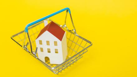 Die Zahl der Baufinanzierungen hat sich halbiert, Käufer streiken, weil sie sich die ersehnte Wohnung oder das eigene Haus nicht mehr leisten können. Trotzdem ist die Lage für Kaufinteressierte nicht so schlecht, wie viele denken. 