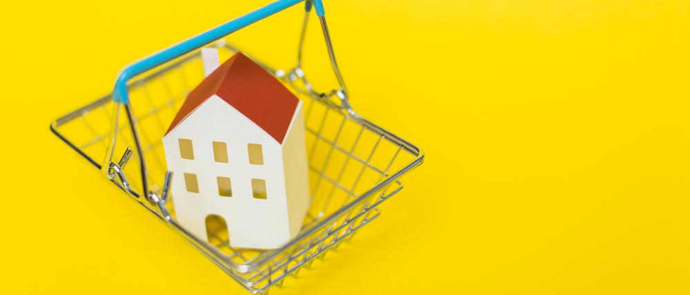 Die Zahl der Baufinanzierungen hat sich halbiert, Käufer streiken, weil sie sich die ersehnte Wohnung oder das eigene Haus nicht mehr leisten können. Trotzdem ist die Lage für Kaufinteressierte nicht so schlecht, wie viele denken.
