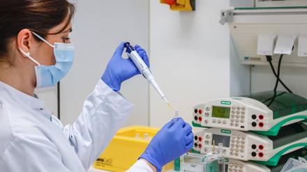 Forschung im Bereich der Immunologie und Infektiologie am Biomedizinischen Zentrum II einer Universitätsklinikums.